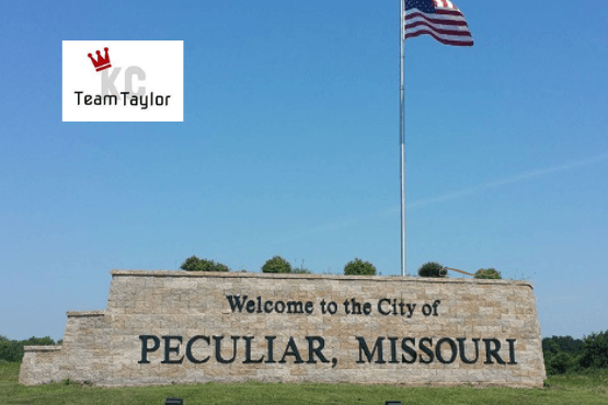 Peculiar Garage Door Repair and installation Company